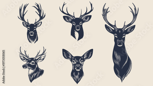Stylized illustrations of deer heads featuring various antler shapes and facial expressions