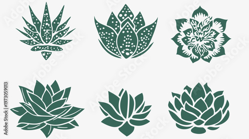 Six stylized plant illustrations with a white background, perfect for design resources