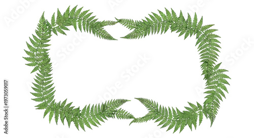 A rectangular frame of lush green fern fronds, detailed and organic