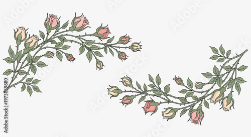 Φωτογραφία Delicate pink and cream rose branches with green leaves and thorns, isolated on