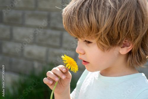 Child smelling flower in closeup profile. Child learning nature through sensory play. Child gentle moment with plant in daylight. Child calm outdoor lifestyle scene.