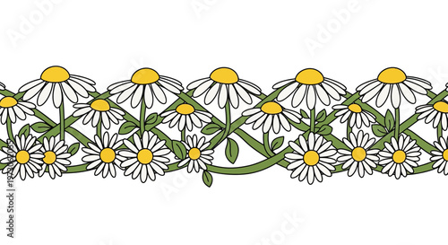 A decorative border of white daisies with yellow centers woven through green interlacing stems