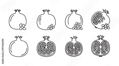 Pomegranate Outline Icons: Whole Halved and Seed Details