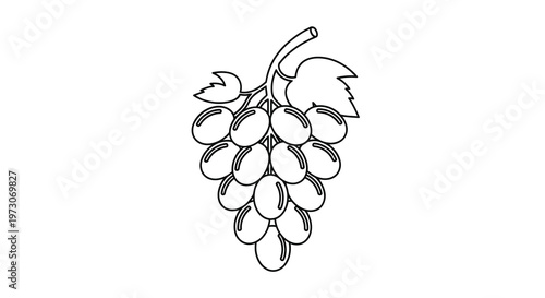 Simple line drawing of a bunch of grapes with a single leaf