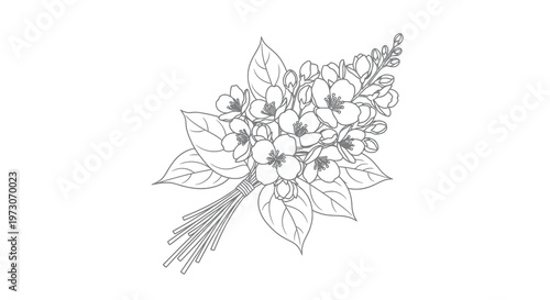 Delicate floral sketch of jasmine blossoms and leaves tied with a ribbon