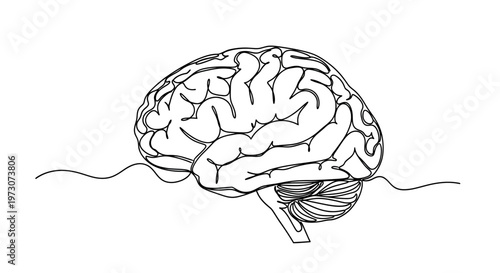 A minimalist line drawing of a human brain with cerebellum