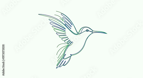 Single-line drawing of a hummingbird in mid-flight, rendered in blue and green