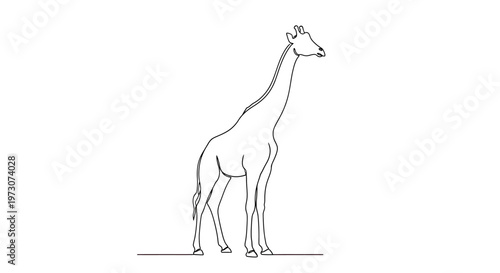 A minimalist outline drawing of a giraffe standing on a white background