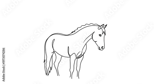 A minimalist black and white line drawing of a horse standing still