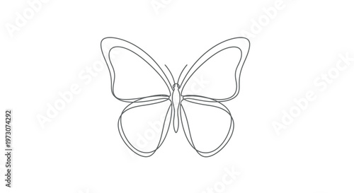 Delicate outline of a butterfly rendered in a continuous, minimalist line drawing