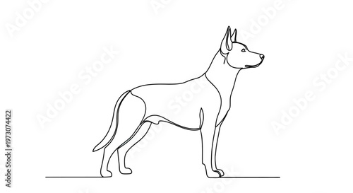 A minimalist line drawing depicts a dog standing alertly, facing right