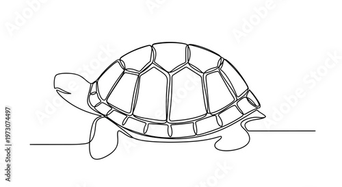 Minimalist line art of a tortoise, showing its shell and limbs