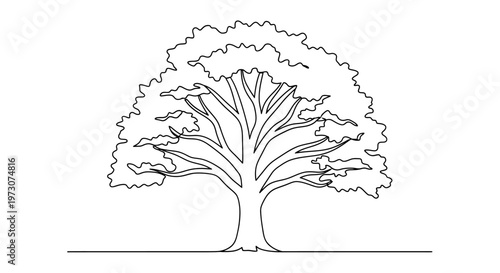 A stark, single-line drawing of a mature tree with a wide canopy against a white background