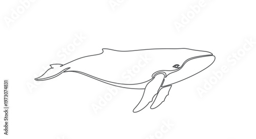 A minimalist outline of a whale swimming, rendered in simple grey lines on a white background