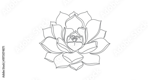 A minimalist line drawing of a symmetrical succulent plant