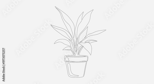 Simple line drawing of a potted plant with long, arching leaves