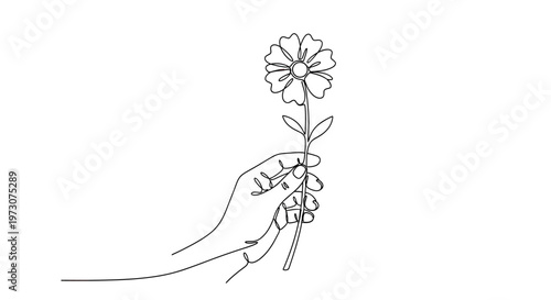 A delicate line drawing of a hand holding a single flower on a stem