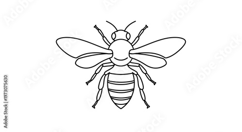 Simple line drawing of a smiling bee with outstretched wings and segmented body