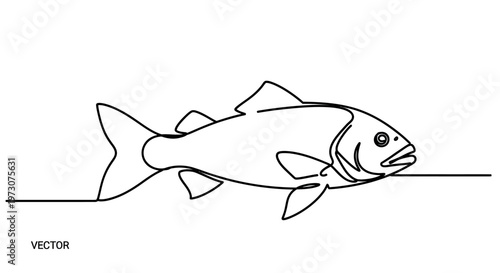 One line drawing of a fish with fins, eye, and open mouth
