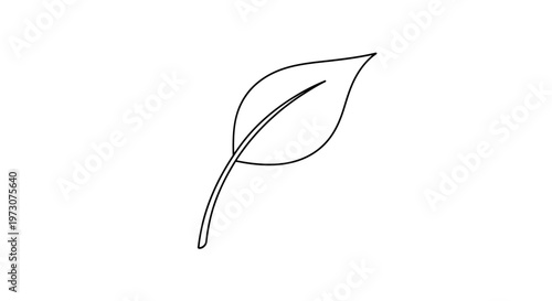 A simple black outline of a single leaf with a stem on a white background