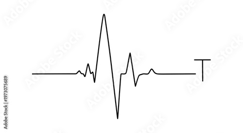 A minimalist black electrocardiogram waveform with a prominent peak, ending with a T