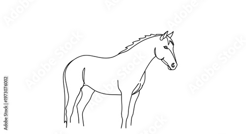 Simple line drawing of a horse standing and looking to the right