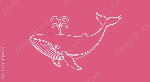 Minimalist white whale illustration spouting water on a pink background