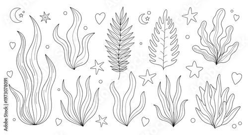 Detailed collection of various underwater plants and seaweed mixed with cosmic elements like moons and stars.