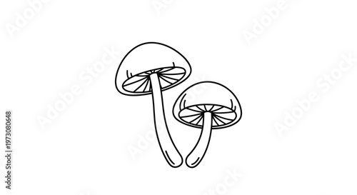 Simple black and white line drawing of two wild mushrooms growing together showing gills and stems on a clean white background.