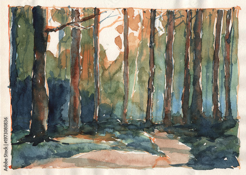 Set of semi-abstract watercolor paintings, various forest landscapes and autumn woodlands on textured paper, featuring raw artistic strokes and expressive natural scenery.