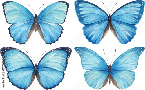 set of Watercolor Blue Morpho Butterfly Illustration, Tropical Butterfly Clipart, vector isolated on white background