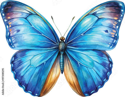 Watercolor Blue Morpho Butterfly Illustration, Tropical Butterfly Clipart, vector illustration isolated on white background