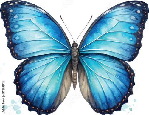 Watercolor Blue Morpho Butterfly, Tropical Butterfly Clipart, vector illustration isolated on white background