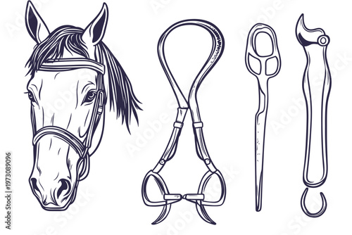 Black and white illustration of horse head and equestrian tools
