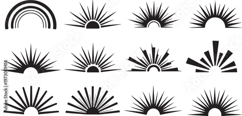 Various types of flower icons with petals and center details Vector