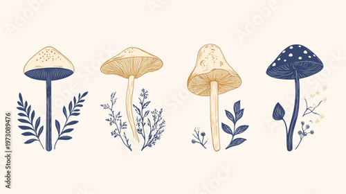 Illustration featuring four different mushroom illustrations with varying cap shapes, stems, and flora