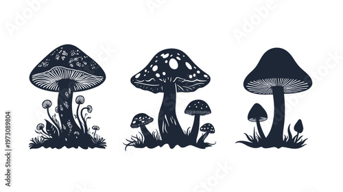Three stylized, dark-colored mushroom illustrations against a plain white background, each with different features