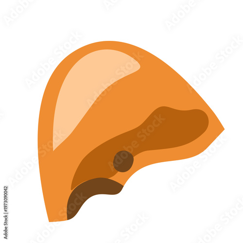 Rotten Eggshell Illustration