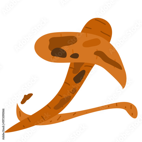 Rotten Carrot Peel Illustration