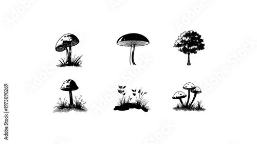 A black and white illustration of mushrooms and a small tree. A white background