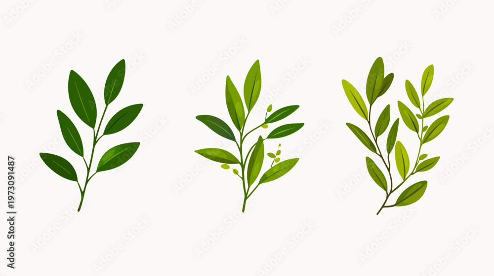 Fototapeta premium Three stylized, green leafy sprigs against a neutral background. Varying shades of green