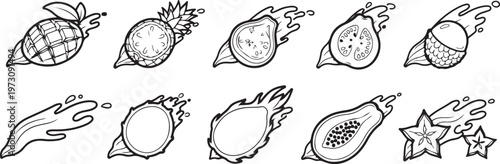 Illustrations of various fruits and nuts with cross-sectional views Vector