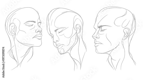A grayscale line drawing of three heads in profile, focusing on faces, contours and features
