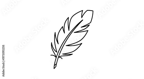 A simple black line drawing of a feather on a white background
