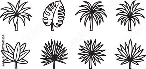 A collection of eight distinct flower outlines in black and white Vector