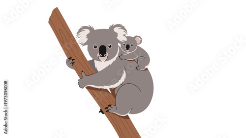 Tender illustration of a mother koala bear with its cute baby joey sitting on its back while clinging to a brown tree branch.