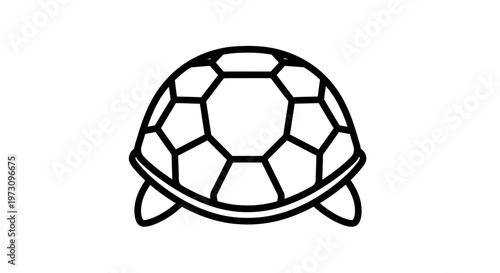 Minimalist line art shows a stylized turtle shell with four small flippers