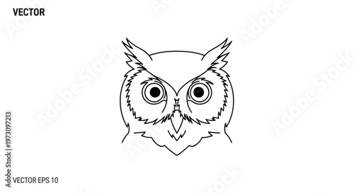 Minimalist owl face with large round eyes and feathered details