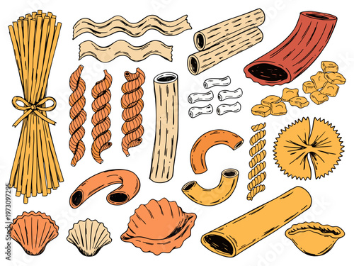 Assorted Italian Pasta Shapes Hand Drawn Collection. Colorful illustration of various traditional Italian pasta types including spaghetti, fusilli, rigatoni, farfalle, and shells vector