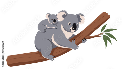 Detailed illustration shows a mother koala carrying her young joey on her back while climbing a sturdy brown tree branch with green leaves.